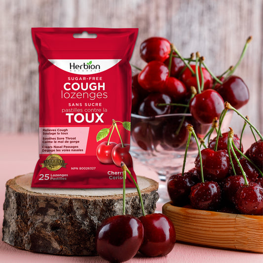 Herbion Naturals Hustentropfen mit Kirschgeschmack, zuckerfrei mit Stevia, lindert den Husten, für Erwachsene und Kinder ab 6 Jahren