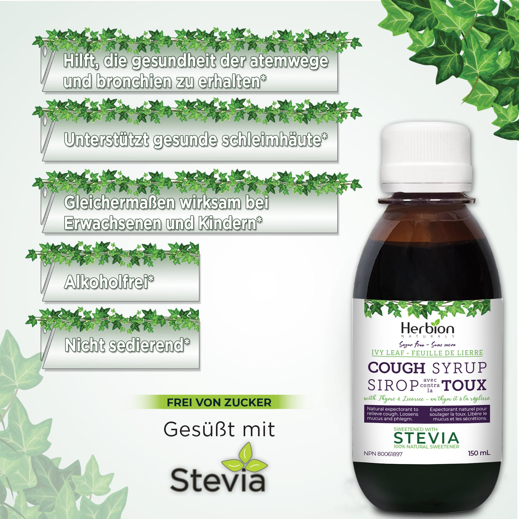 Ivy Leaf Cough Syrup with Thyme & Licorice, 150 ML
