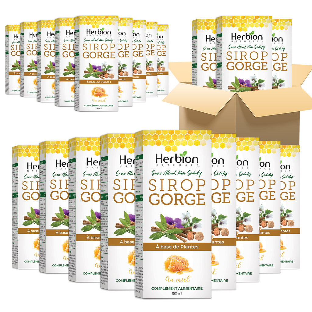 Herbion Naturals Herbal Sore Throat Syrup with Natural Honey 150ml (Pack of 24) (Copy)